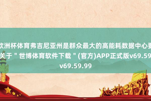 欧洲杯体育弗吉尼亚州是群众最大的高能耗数据中心要津-关于＂世博体育软件下载＂(官方)APP正式版v69.59.99