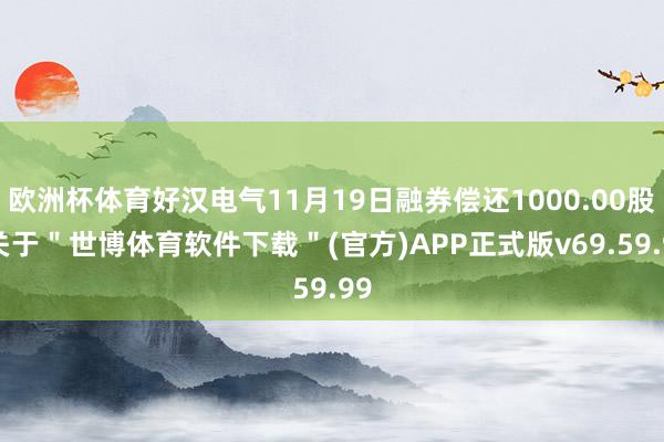 欧洲杯体育好汉电气11月19日融券偿还1000.00股-关于＂世博体育软件下载＂(官方)APP正式版v69.59.99