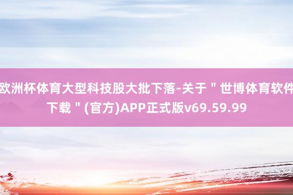 欧洲杯体育　　大型科技股大批下落-关于＂世博体育软件下载＂(官方)APP正式版v69.59.99
