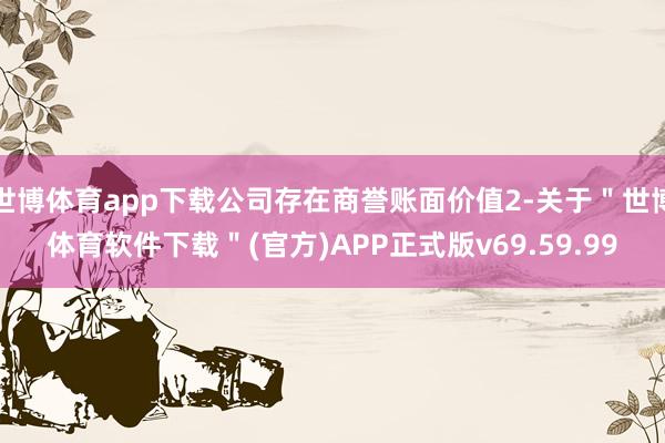 世博体育app下载公司存在商誉账面价值2-关于＂世博体育软件下载＂(官方)APP正式版v69.59.99